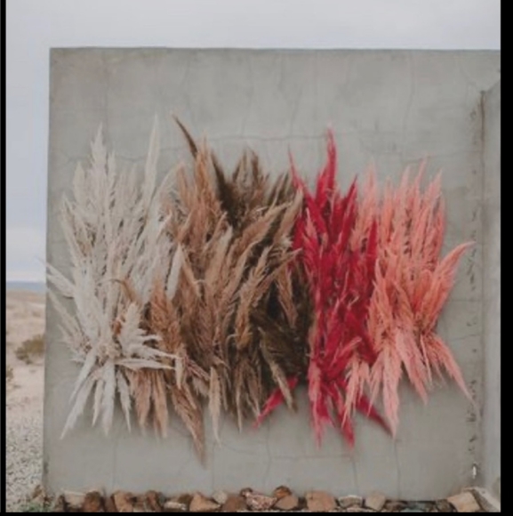 Meet your Poshers, - Picture 5 of 10